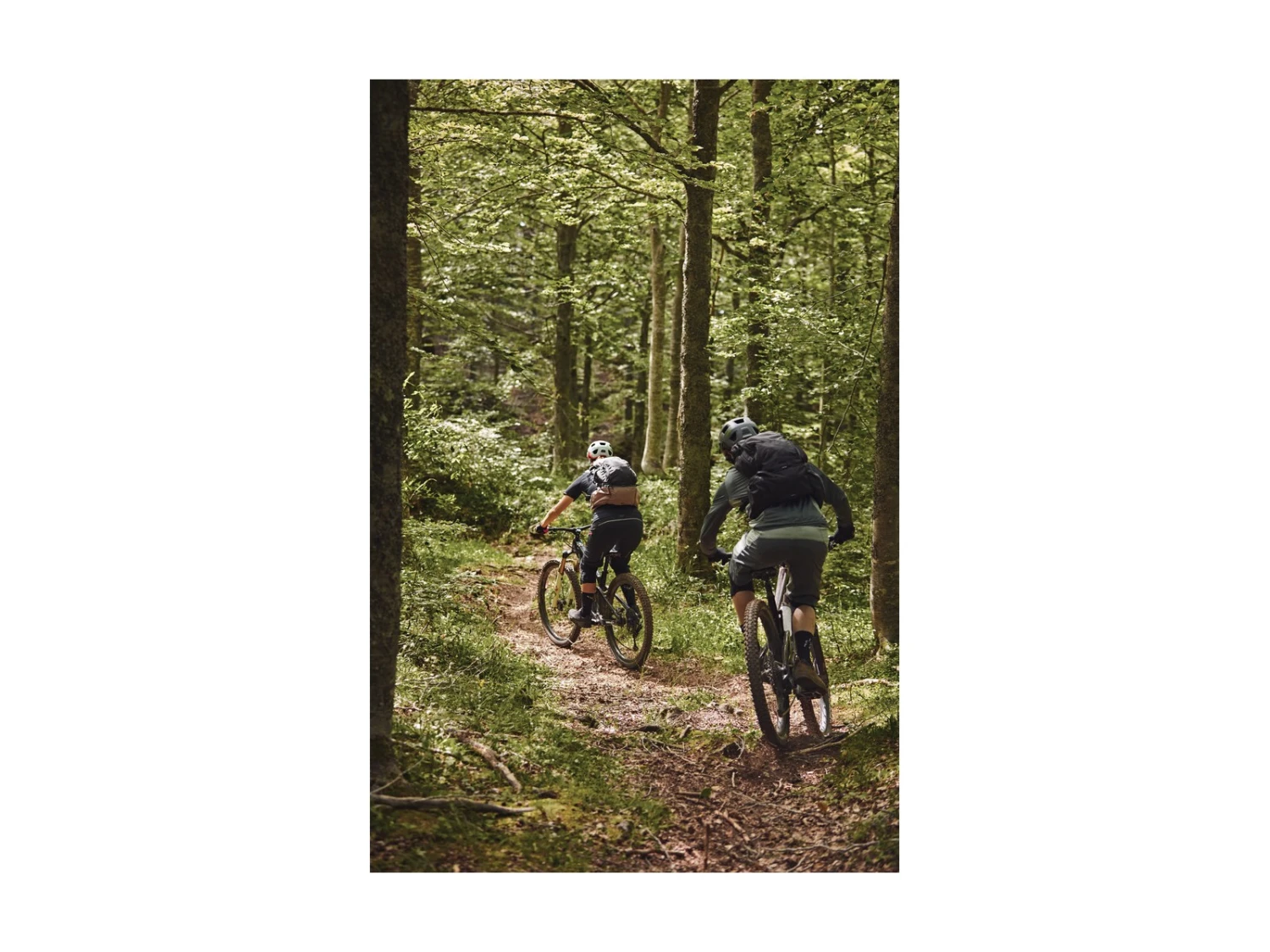 ABUS Casque MoDrop VTT Iced Mint 16 ABUS Casque MoDrop VTT Iced Mint – Image 16