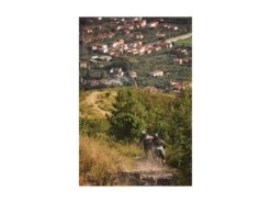 ABUS Casque VTT MoDrop Pine Green -Vtt Soldes Boutique abus casque vtt modrop pine green 12