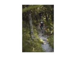 ABUS Casque VTT MoDrop Polar White -Vtt Soldes Boutique abus casque vtt modrop polar white 14