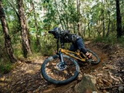 ROCKSHOX Fourche Zeb Ultimate 29'' Charger 3 RC2 Déport 44mm 170mm 2023 -Vtt Soldes Boutique rockshox fourche zeb ultimate 29 charger 3 rc2 deport 44mm 170mm 2023 4